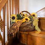 Villa Cozy Countryside Retreat With Hot-tub - Two Bedroom With Hot Tub